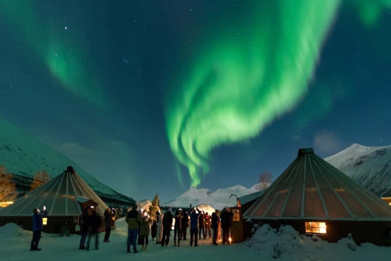 From Tromsø: Northern Lights Visit at Camp Tamok - Key Points