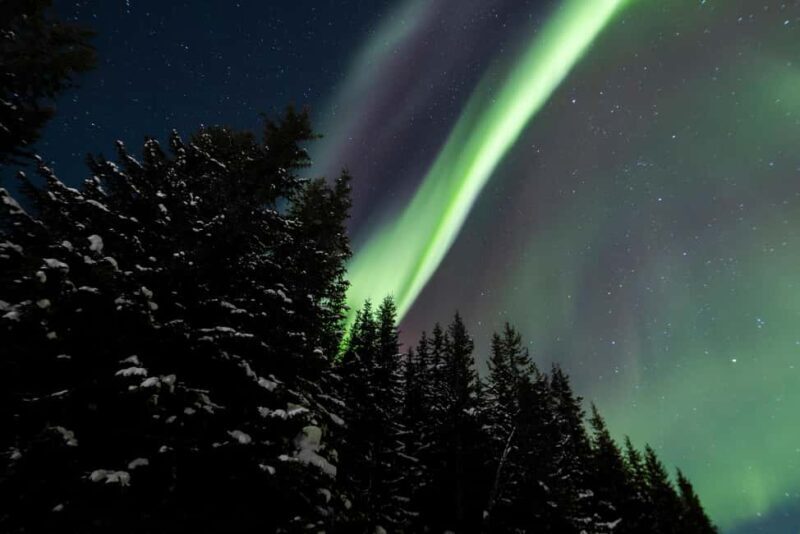 From Tromsø: Northern Lights Visit at Camp Tamok - FAQs