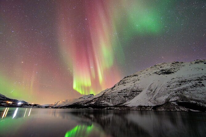 From Tromsø: OFFICIAL Northern Lights Safari by Minibus - Key Points
