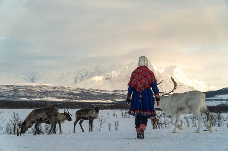 From Tromsø: Reindeer Feeding and Sami Experience with Lunch - What Is This Tour All About?