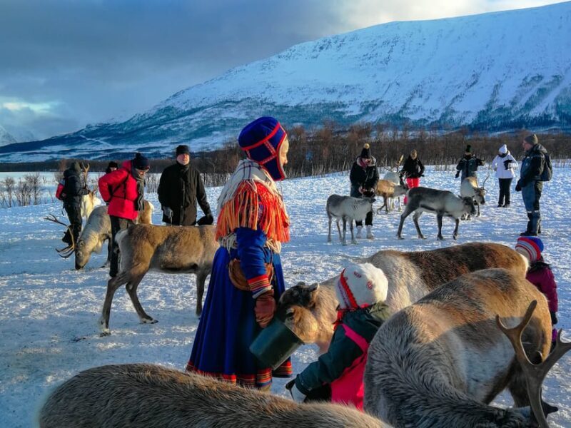 From Tromsø: Reindeer Feeding and Sami Experience with Lunch - FAQs