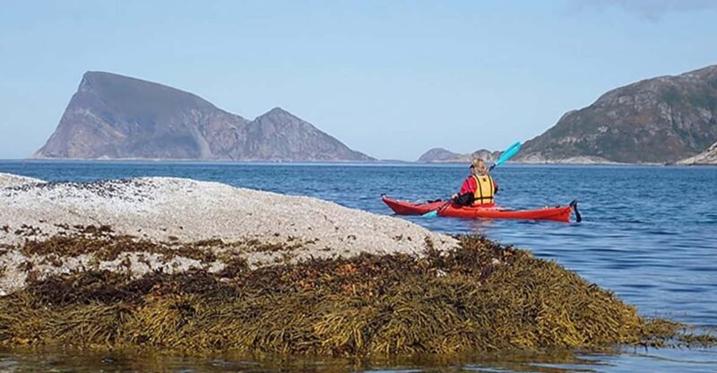 From Tromsø: Sea Kayaking Tour at Sommarøy - Who Would Love This Tour?