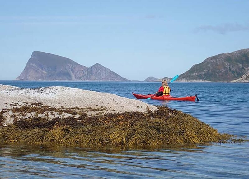 From Tromsø: Sea Kayaking Tour at Sommarøy - FAQ