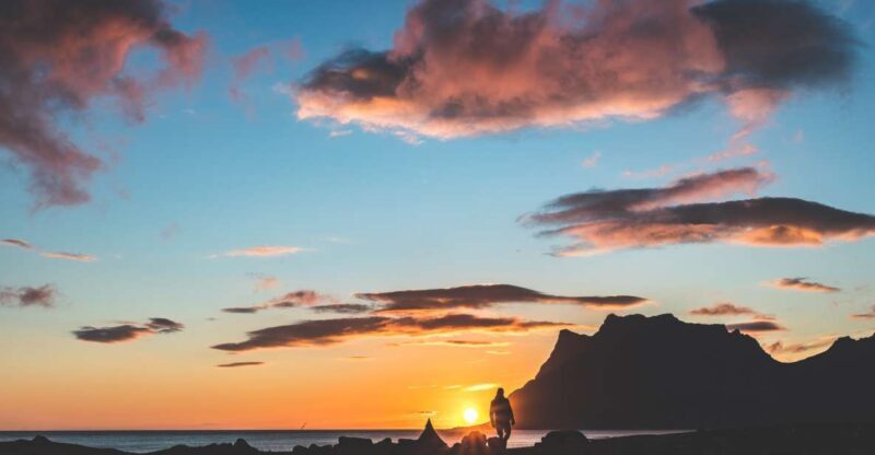 From Tromsø: Senja Discovery Arctic Day Trip with Lunch - The Itinerary Breakdown