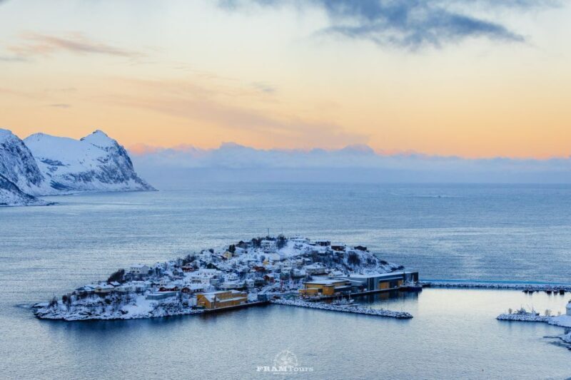 From Tromsø: Senja Discovery Arctic Day Trip with Lunch - The Price and Value
