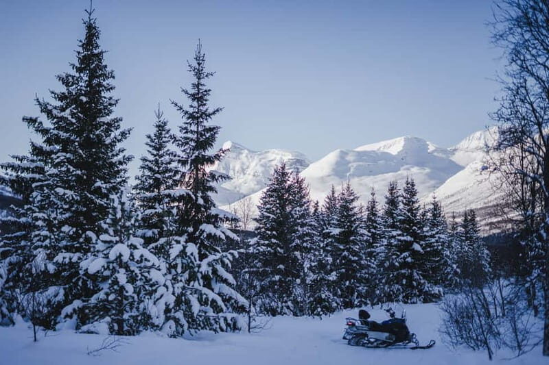 From Tromsø: Snowmobiling at Camp Tamok & Snow Park Visit - Is It Worth It?