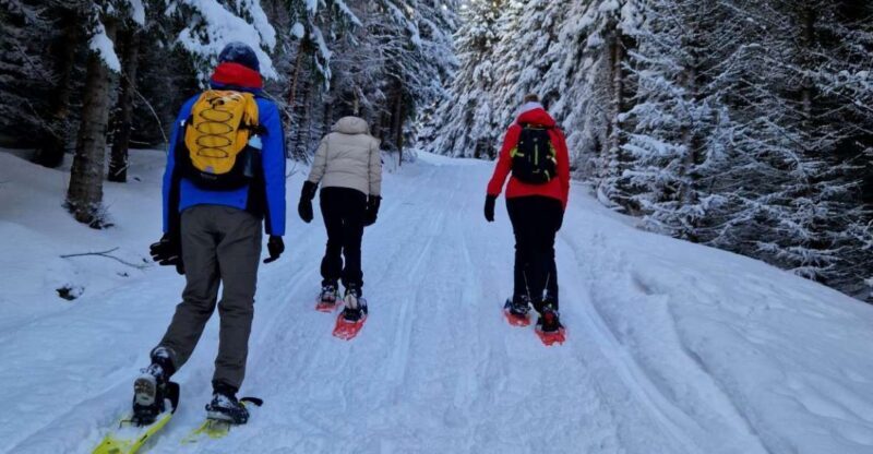 From Tromsø: Snowshoe Hike in the Arctic - Key Points