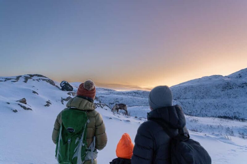 From Tromsø: Snowshoe Hike with Local Guides - Exploring Tromsø’s Snowshoe Experience: A Practical Look at the Arctic Wilderness