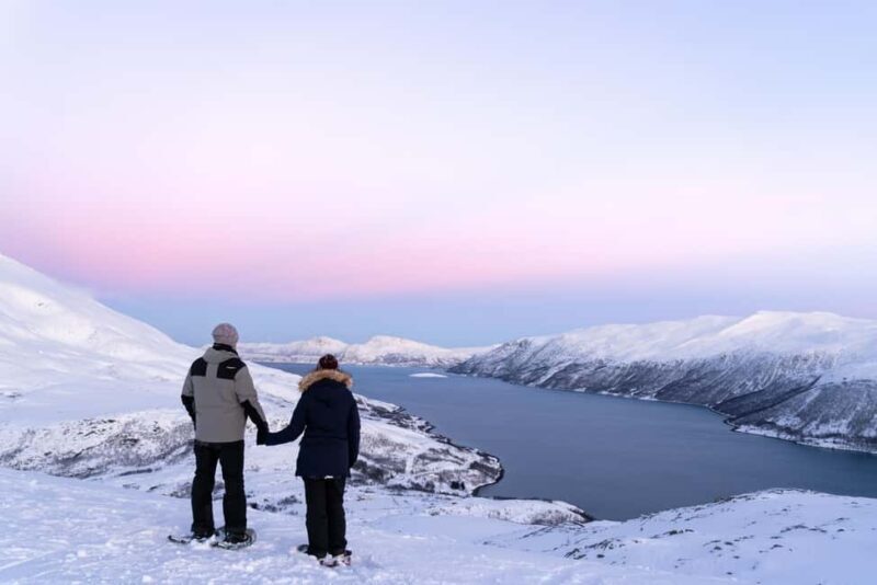 From Tromsø: Snowshoe Hike with Local Guides - Key Points