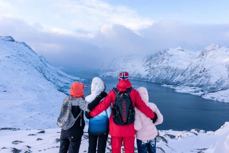 From Tromsø: Snowshoe Hike with Local Guides - The Scenic Drive and Trail Highlights