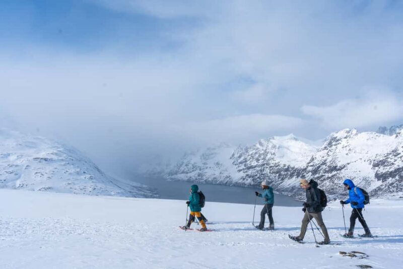 From Tromsø: Snowshoe Hike with Local Guides - Who Should Consider This Tour