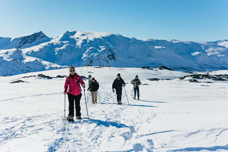 From Tromsø: Snowshoeing Hike with Picnic Lunch and Photos - Key Points