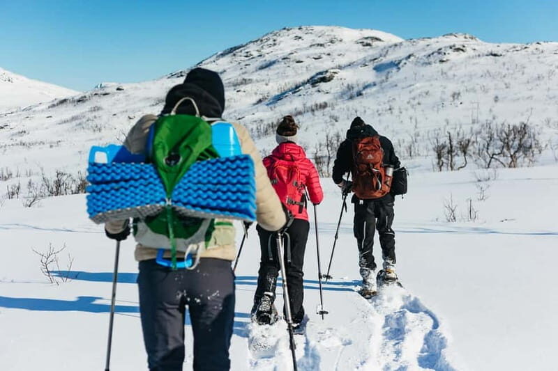 From Tromsø: Snowshoeing Hike with Picnic Lunch and Photos - Who Would Love This Tour?
