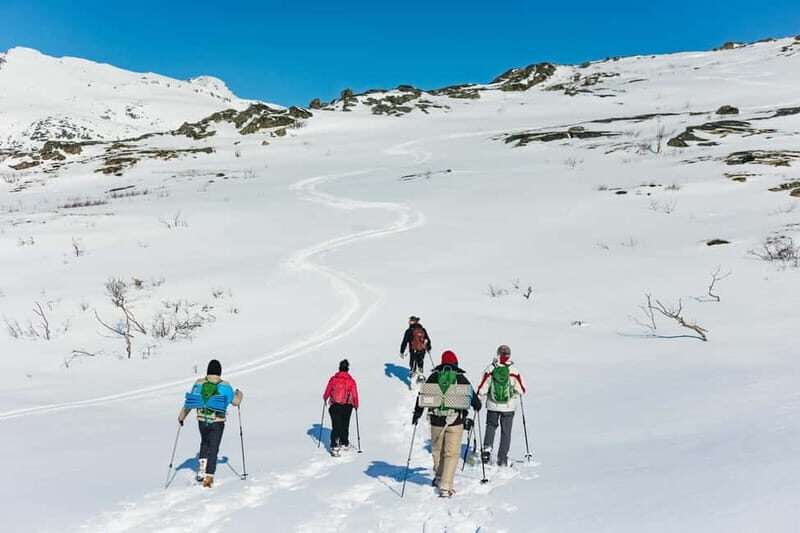 From Tromsø: Snowshoeing Hike with Picnic Lunch and Photos - FAQs