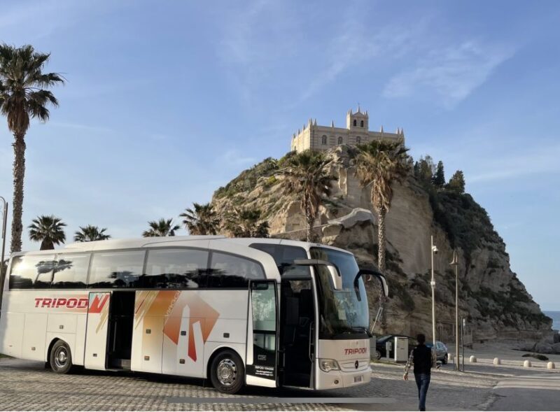 From Tropea: Reggio and Scilla Daily Tour - Who Is This Tour Best For?