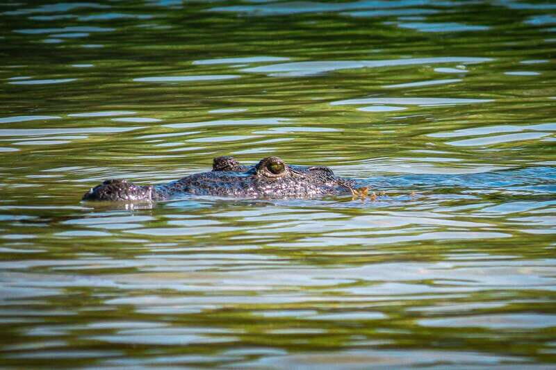 From Tulum: Sian Kaan Boat Trip Adventure with Lunch - The Experience in Detail