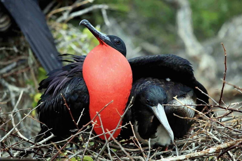 From Tulum: Sian Kaan Day Tour - FAQ