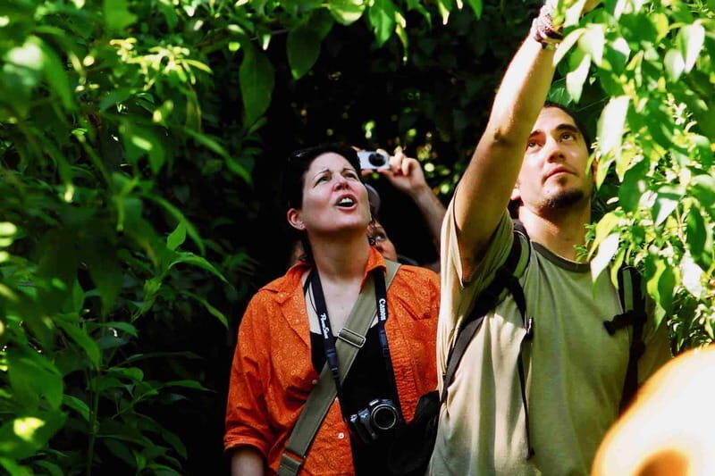 From Tulum: Sian KaAn Muyil Lagoon Tour - What’s Included and How It Adds Value