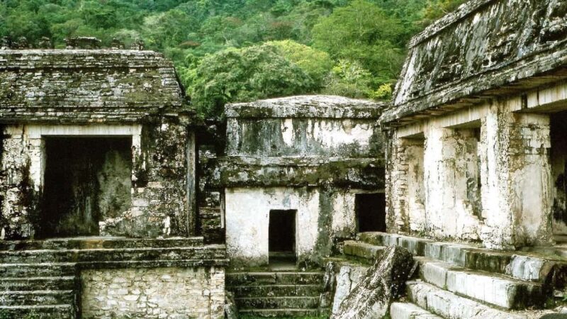 From Tuxtla Gutierrez: Palenque & Chiapas 4-Day Tour - Exploring the natural wonders of Chiapas