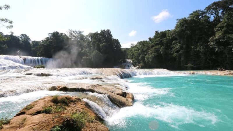 From Tuxtla Gutierrez: Palenque & Chiapas 4-Day Tour - Who is this tour for?
