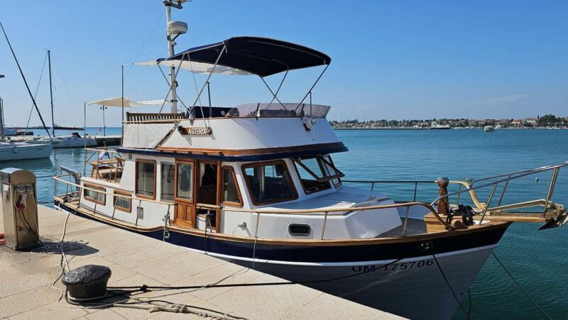 From Umag: Boat Tour to Savudrija with Swimming and Dolphins - Key Points