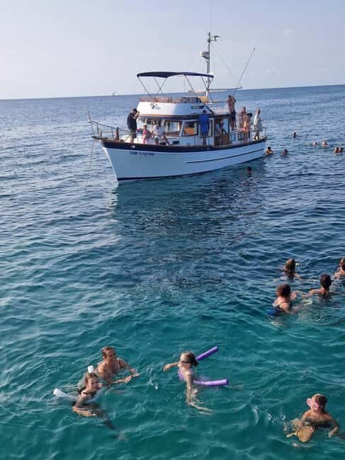 From Umag: Boat Tour to Savudrija with Swimming and Dolphins - What travelers are saying