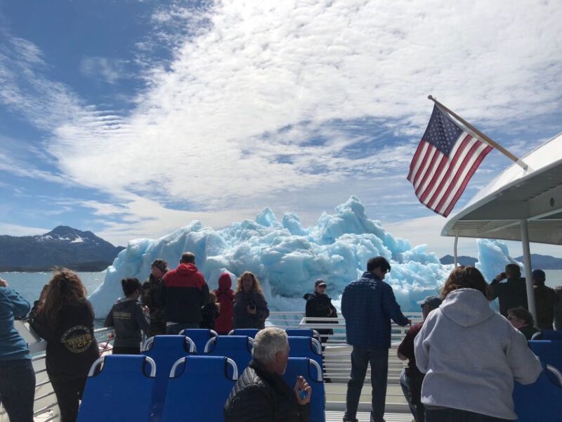 From Valdez: 7.5-hour Meares Glacier & Wildlife Cruise - Exploring the Prince William Sound on a Full-Day Cruise