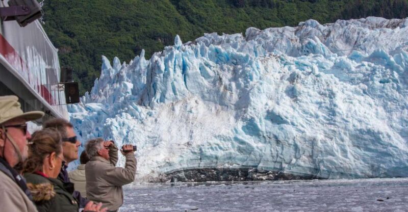 From Valdez: 7.5-hour Meares Glacier & Wildlife Cruise - Who Will Love This Tour?