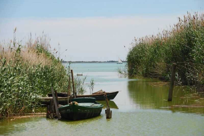 From Valencia: Albufera Boat Ride & Food (Paella) Included - Key Points