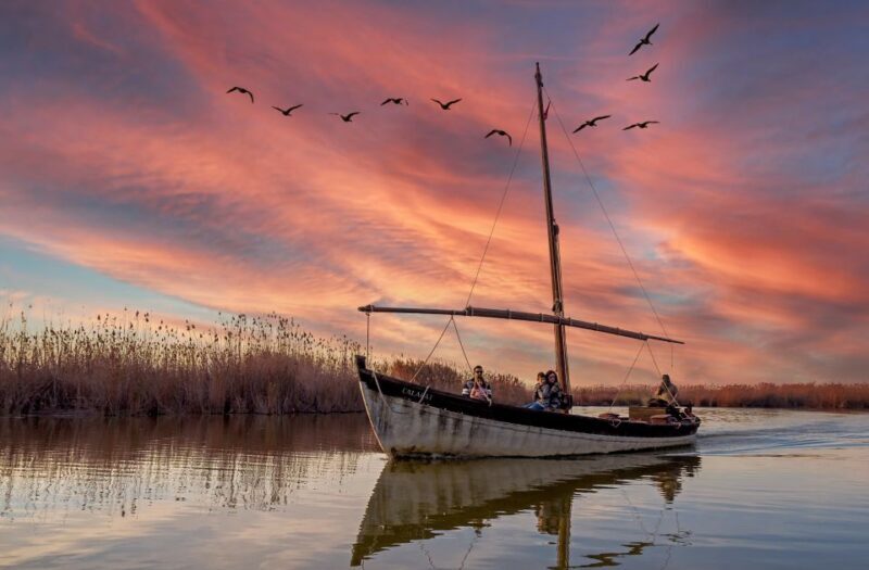 From Valencia: Albufera Natural Park Eco Boat Tour & Sunset - What Do Travelers Say?