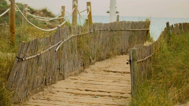 From Valencia: Albufera Natural Park Eco Boat Tour & Sunset - The Sum Up