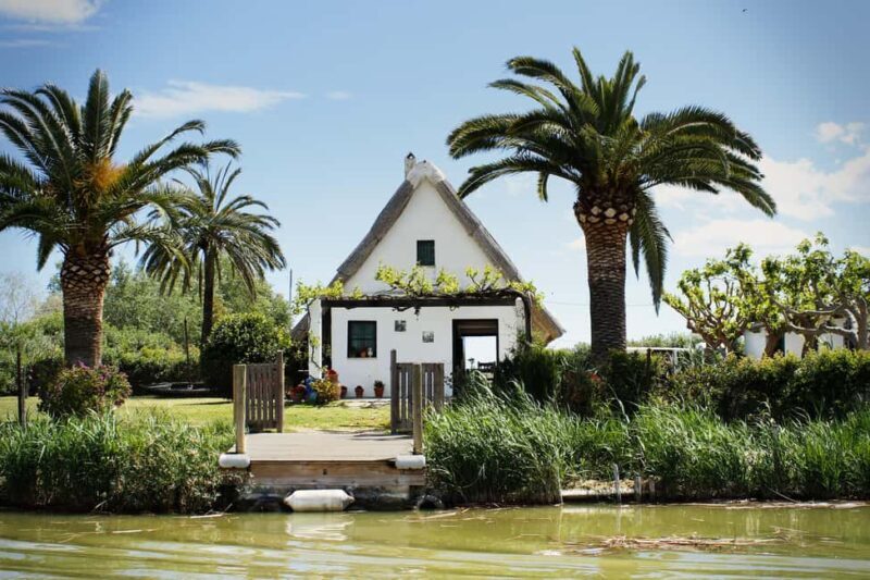 From Valencia: Albufera Natural Park with Sunset Boat Tour - The Journey from Valencia to Albufera: What to Expect