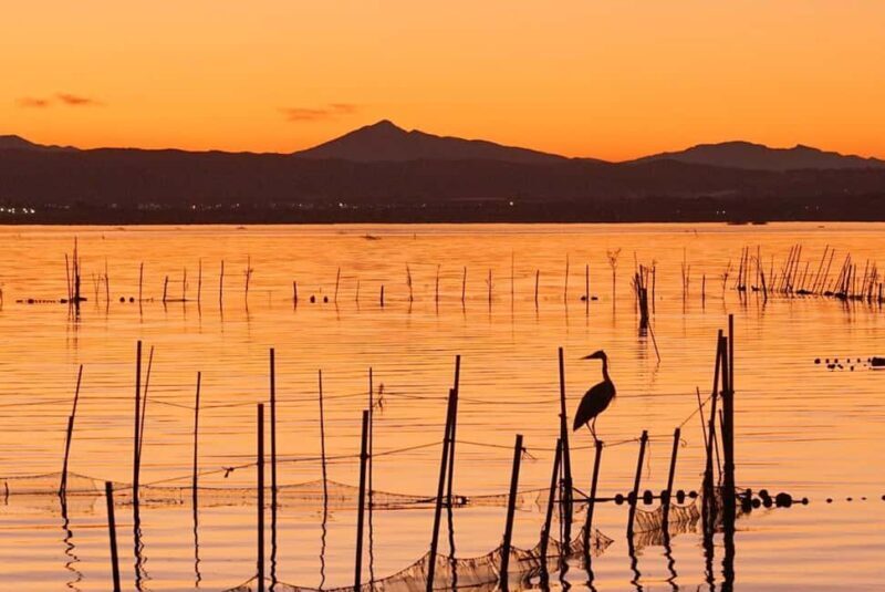 From Valencia: Albufera Natural Park with Sunset Boat Tour - The Ecosystem and Respectful Tourism