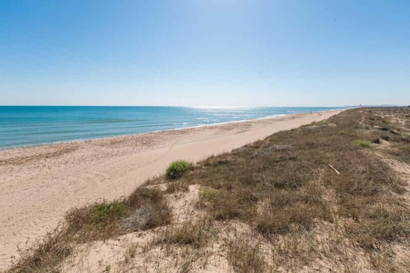 From Valencia: Albufera Natural Park with Sunset Boat Tour - Is It Worth the Price?