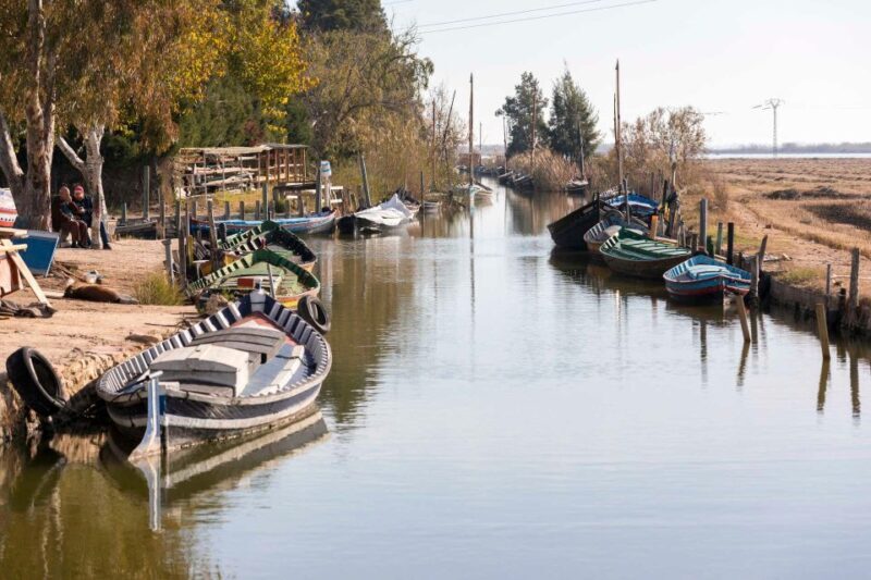 From Valencia: Albufera Natural Park with Sunset Boat Tour - The Sum Up