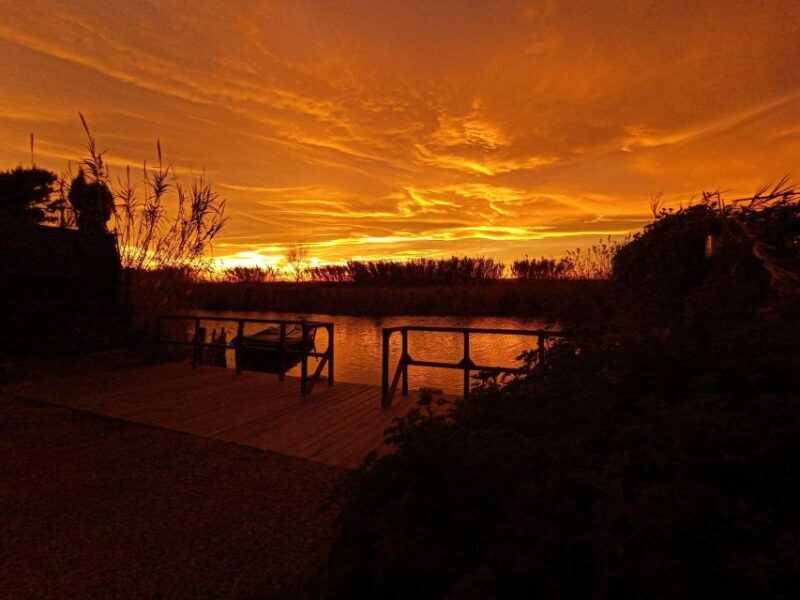 From Valencia: Albufera Natural Park with Sunset Boat Tour - FAQ