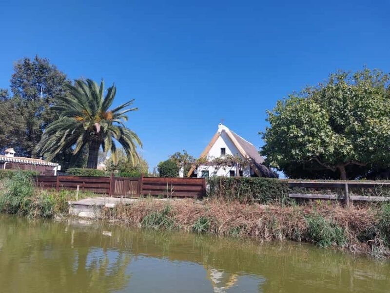 From Valencia: Albufera, Paella and Chocolate Tour - Who Should Book This Tour?