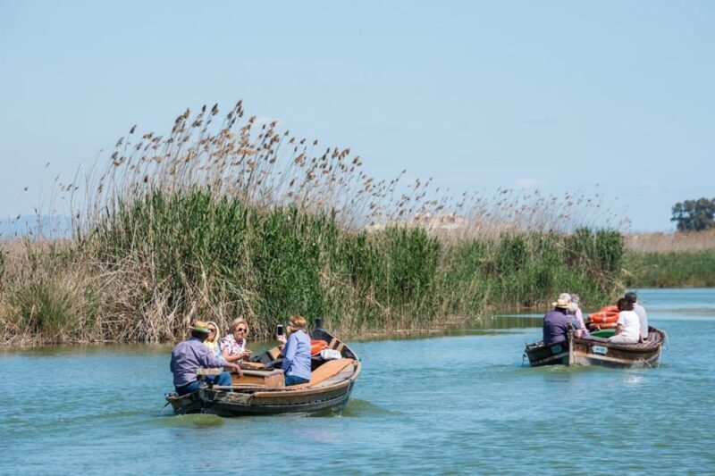 From Valencia: Albufera Private Tour, Paella & Boat Ride - A Thorough Look at the Experience