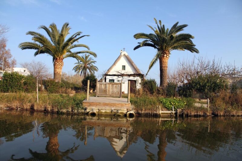 From Valencia: Albufera Private Tour, Paella & Boat Ride - The Sum Up