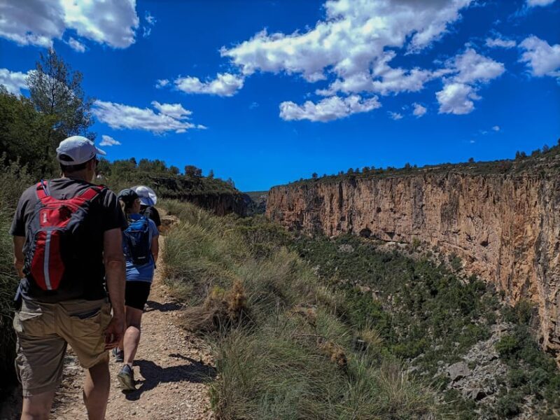 From Valencia: Chulilla, Turia Canyon, Hanging bridges... - Wrapping Up: Who Will Love This Tour?