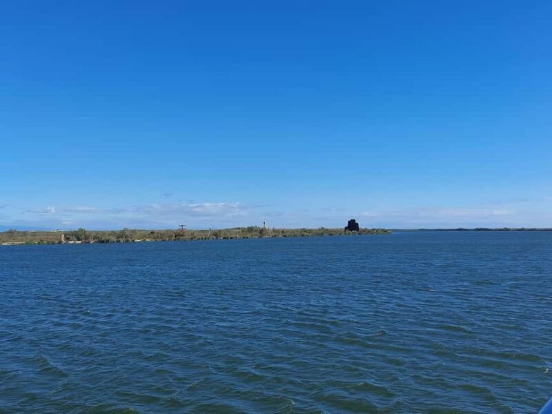 From Valencia: Ebro Delta Cruise, Ecomuseum & Peñíscola Tour - Key Points