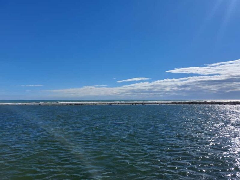 From Valencia: Ebro Delta Cruise, Ecomuseum & Peñíscola Tour - An In-Depth Look at the Experience