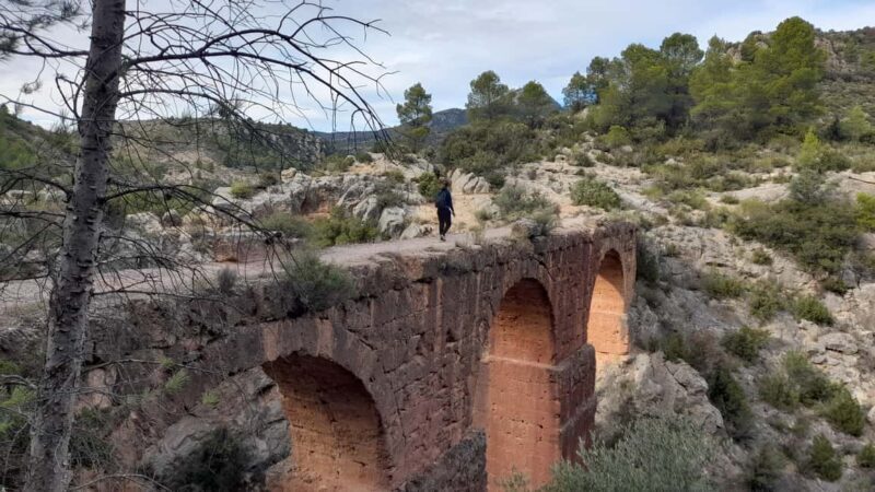 From Valencia: Peña Cortada Private Hiking Day Tour - Key Points