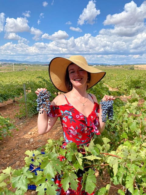 From Valencia: Utiel-Requena Wine Tour and Traditional Lunch - Final Thoughts