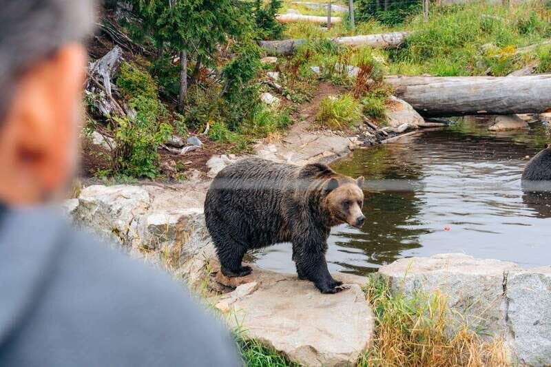 From Vancouver: Capilano Suspension Bridge & Grouse Mountain - An Overview of the Tour
