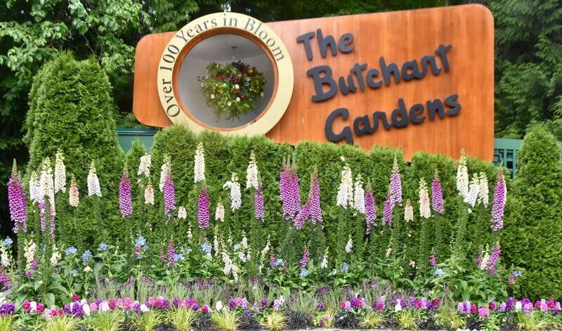 From Vancouver: Victoria City and Butchart Gardens Tour - An In-Depth Look at the Experience