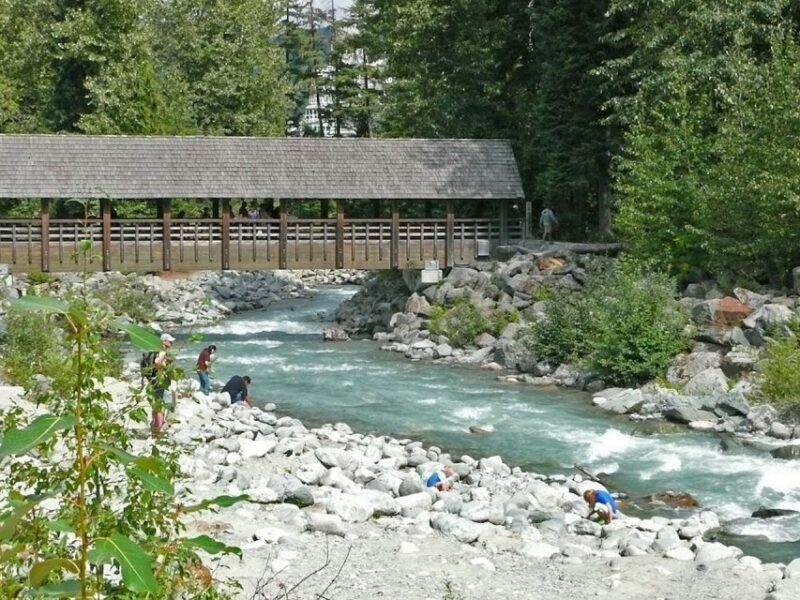 From Vancouver: Whistler and Shannon Falls Private Day Trip - Who Is This Tour Perfect For?