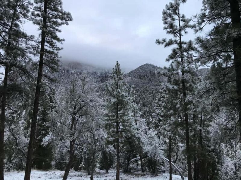 From Vegas: Ultimate Snowplay Adventure at Mount Charleston - Key Points