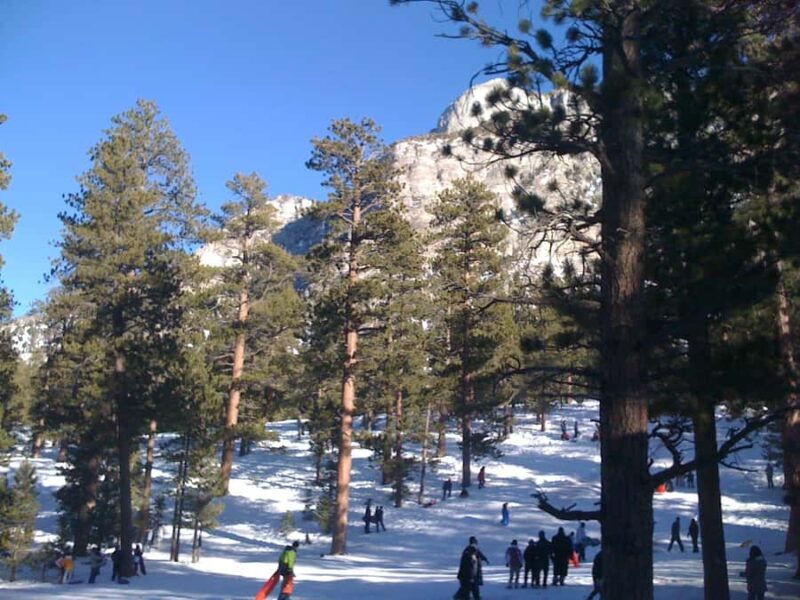 From Vegas: Ultimate Snowplay Adventure at Mount Charleston - Practical Details and Value