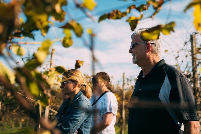 From Venice: Prosecco Wine Region Tour with 2 Tastings - Valdobbiadene tasting: contrast in place and style